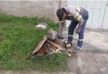 Jujuy sostiene la vigilancia epidemiológica: sin casos de dengue y con monitoreo activo de chikungunya y virus respiratorios